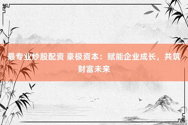 最专业炒股配资 豪极资本：赋能企业成长，共筑财富未来