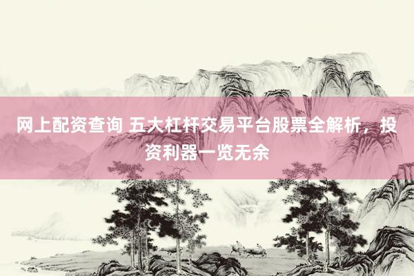 网上配资查询 五大杠杆交易平台股票全解析，投资利器一览无余