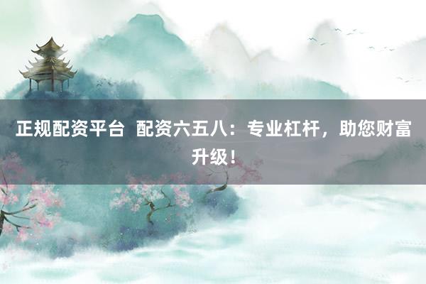 正规配资平台  配资六五八：专业杠杆，助您财富升级！