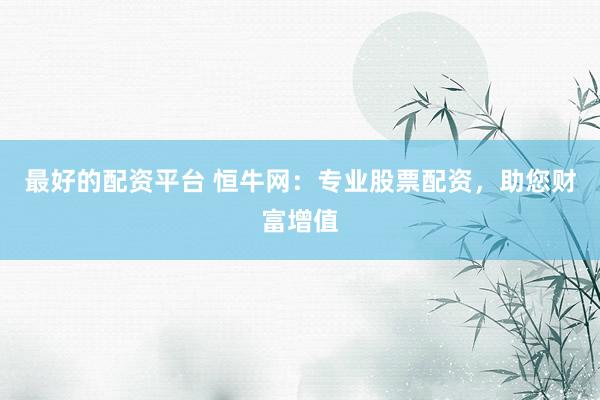 最好的配资平台 恒牛网：专业股票配资，助您财富增值