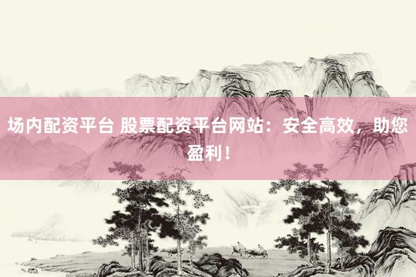 场内配资平台 股票配资平台网站：安全高效，助您盈利！