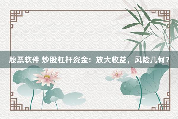 股票软件 炒股杠杆资金：放大收益，风险几何？