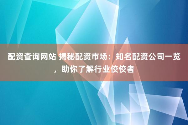 配资查询网站 揭秘配资市场：知名配资公司一览，助你了解行业佼佼者