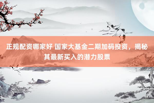 正规配资哪家好 国家大基金二期加码投资，揭秘其最新买入的潜力股票