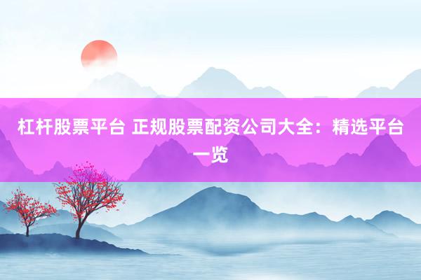 杠杆股票平台 正规股票配资公司大全:精选平台一览
