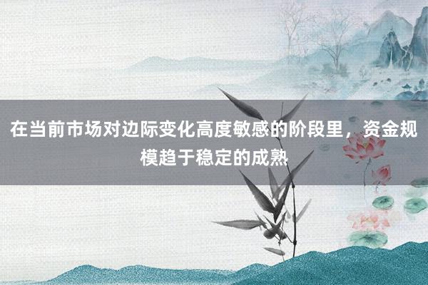 在当前市场对边际变化高度敏感的阶段里，资金规模趋于稳定的成熟